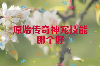 原始传奇神宠技能哪个好