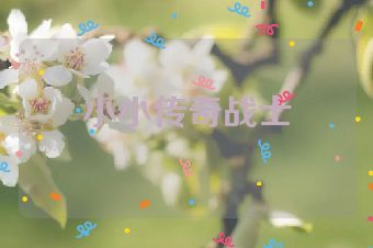 小小传奇战士