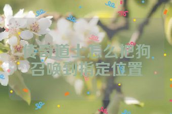 传奇道士怎么把狗召唤到指定位置