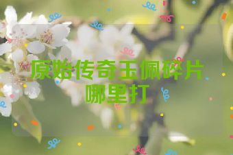 原始传奇玉佩碎片哪里打