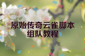原始传奇云雀脚本组队教程