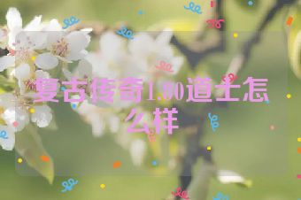 复古传奇1.80道士怎么样