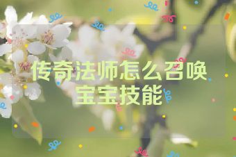 传奇法师怎么召唤宝宝技能