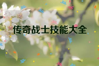 传奇战士技能大全