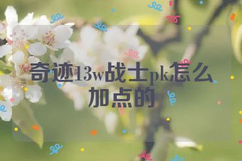 奇迹13w战士pk怎么加点的