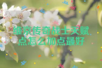 维京传奇战士天赋点怎么加点最好