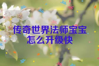 传奇世界法师宝宝怎么升级快