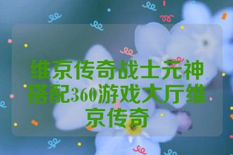 维京传奇战士元神搭配360游戏大厅维京传奇