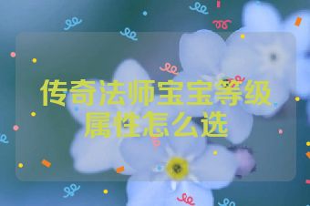 传奇法师宝宝等级属性怎么选