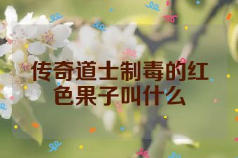 传奇道士制毒的红色果子叫什么