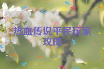热血传说平民玩家攻略