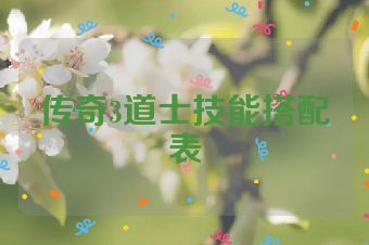 传奇3道士技能搭配表