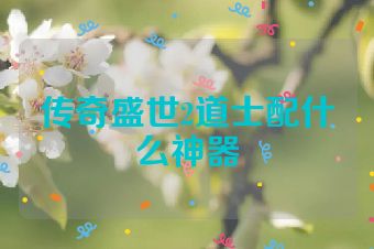 传奇盛世2道士配什么神器