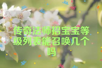 传奇法师招宝宝等级列表能召唤几个吗