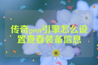 传奇gom引擎怎么设置查看装备信息