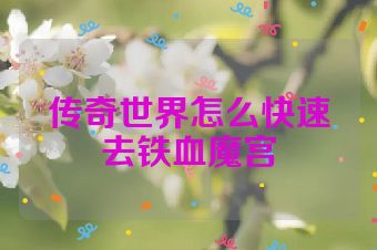 传奇世界怎么快速去铁血魔宫
