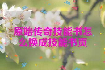 原始传奇技能书怎么换成技能书页