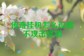 传奇挂机怎么设置不攻击怪物