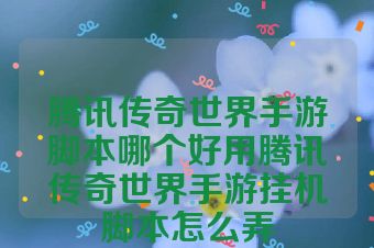 腾讯传奇世界手游脚本哪个好用腾讯传奇世界手游挂机脚本怎么弄