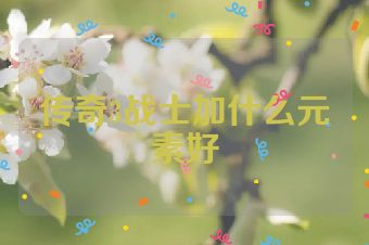 传奇3战士加什么元素好