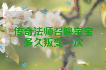 传奇法师召唤宝宝多久叛变一次