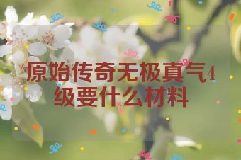 原始传奇无极真气4级要什么材料