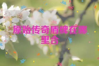 原始传奇盾牌在哪里合