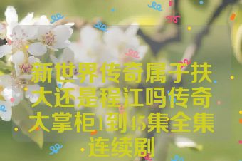 新世界传奇属于扶大还是程江吗传奇大掌柜1到45集全集连续剧