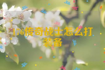 176传奇战士怎么打装备
