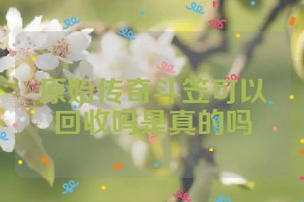 原始传奇斗笠可以回收吗是真的吗