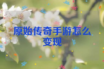 原始传奇手游怎么变现