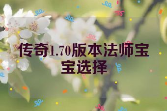 传奇1.70版本法师宝宝选择