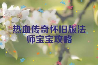 热血传奇怀旧版法师宝宝攻略