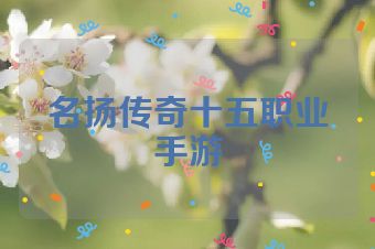 名扬传奇十五职业手游