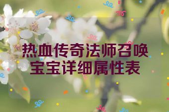 热血传奇法师召唤宝宝详细属性表