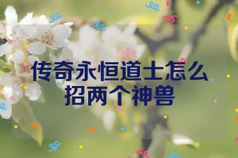 传奇永恒道士怎么招两个神兽