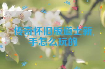 传奇怀旧版道士新手怎么玩的