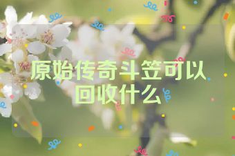 原始传奇斗笠可以回收什么