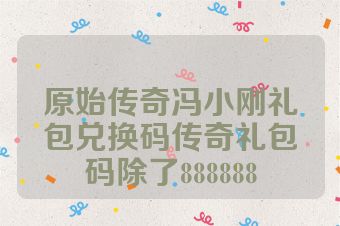 原始传奇冯小刚礼包兑换码传奇礼包码除了888888