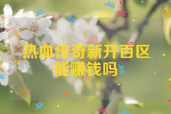 热血传奇新开百区能赚钱吗
