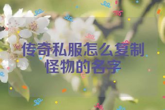 传奇私服怎么复制怪物的名字