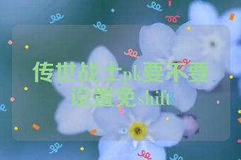传世战士pk要不要设置免shift
