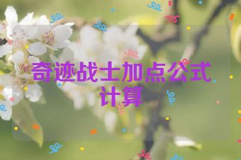 奇迹战士加点公式计算