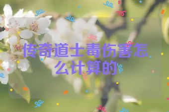 传奇道士毒伤害怎么计算的