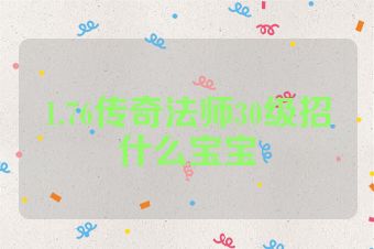1.76传奇法师30级招什么宝宝