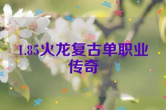 1.85火龙复古单职业传奇
