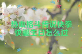 热血格斗传说快拳快腿生日怎么过