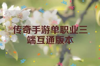 传奇手游单职业三端互通版本