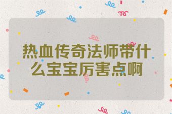 热血传奇法师带什么宝宝厉害点啊