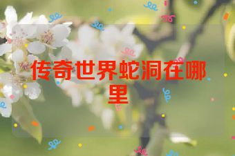 传奇世界蛇洞在哪里